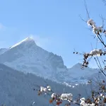Alpenheim Гармиш-Партенкирхен