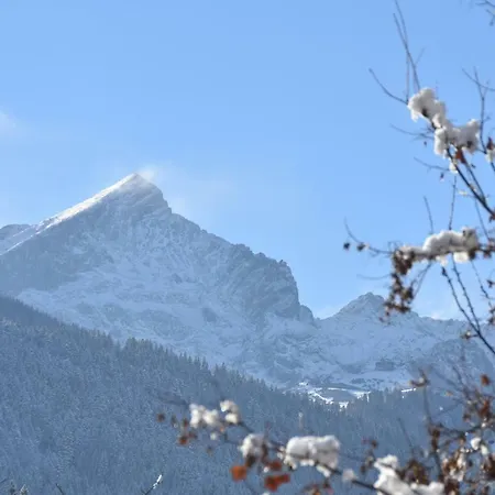 Alpenheim 가르미슈파르텐키르헨